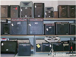 一站式音乐殿堂 专业乐器代理、教学与维修服务